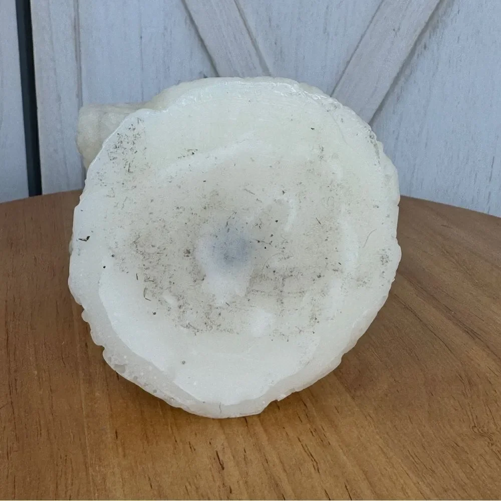 3D‎ Ocean Coral Wax Candle Ivory Cream